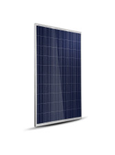 Solar panel TrinaSolar poly 265Wc 