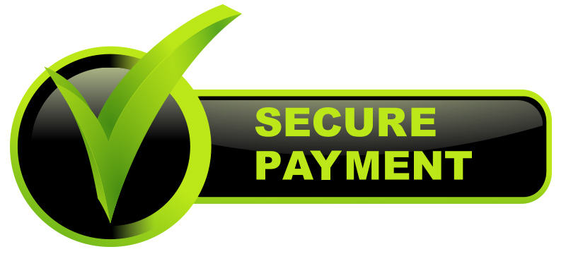 Online Payment Logo